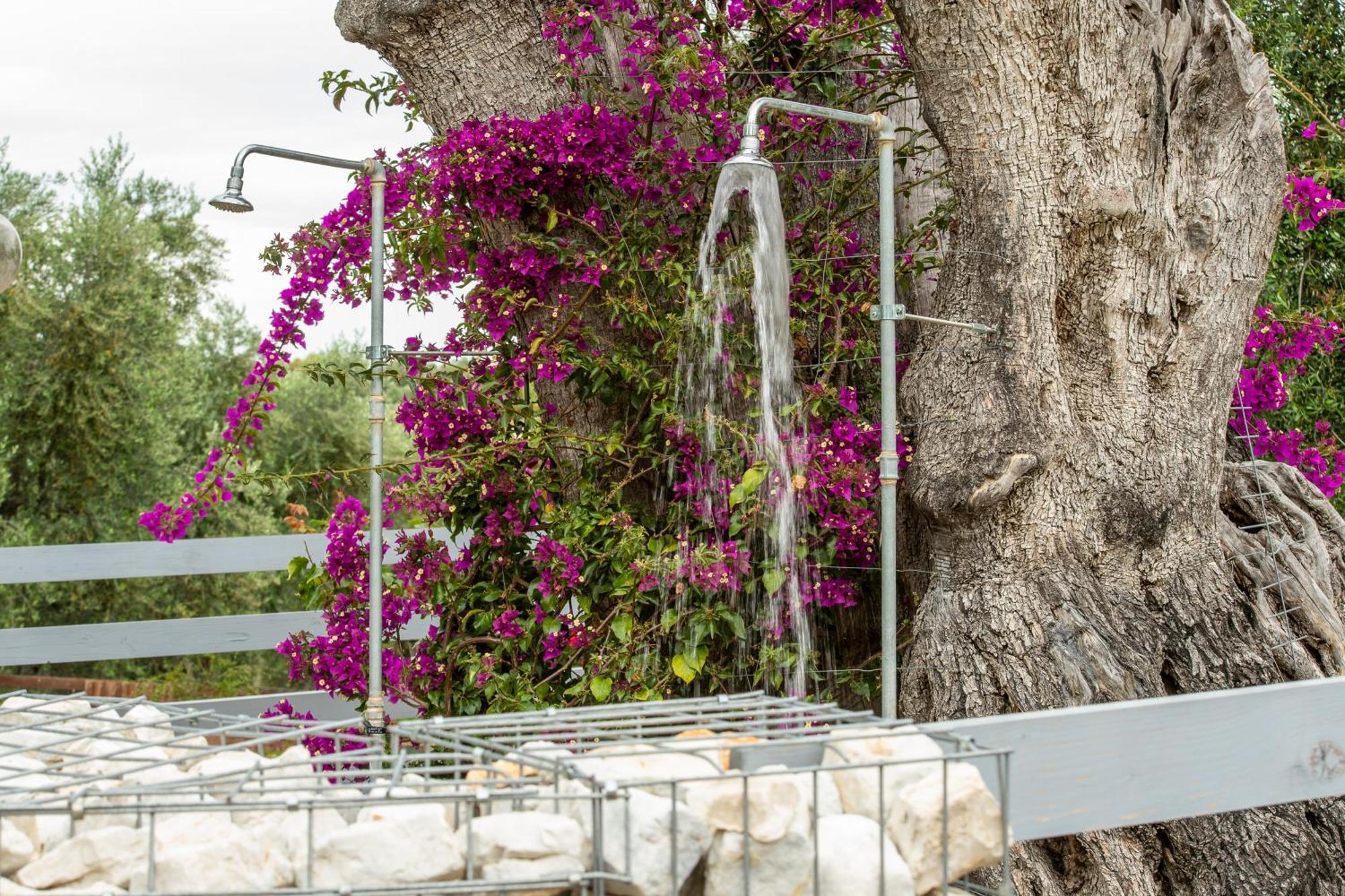 Agriturismo Passione Natura Vieste Ngoại thất bức ảnh