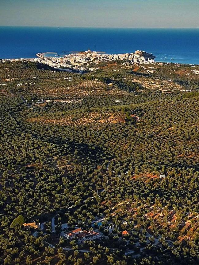 Agriturismo Passione Natura Vieste Ngoại thất bức ảnh